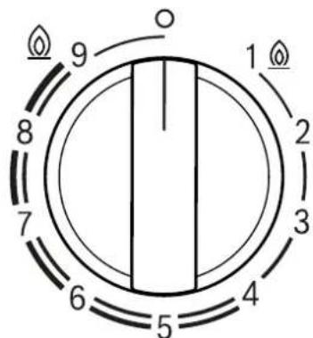 BOSCH PRA3A6I10 - Brûleur multi-couronnes Dualwok - 1
