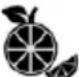 SEVERIN FR 2463 - Hint: - 9