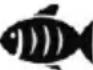 SEVERIN FR 2463 - Hint: - 4