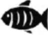 SEVERIN FR 2463 - Tips! - 3