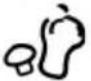 SEVERIN FR 2462 - Tipp! - 12