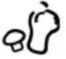 SEVERIN FR 2462 - Suggerimento! - 12