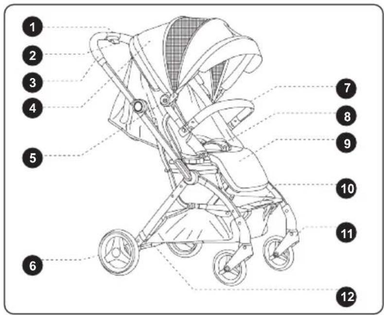 Chipolino Revolut - Chipolino - 2