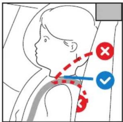 Chipolino ISOFIX Premium - 8