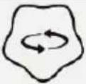 Chipolino Cars - FONCTIONS - 5