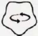 Chipolino Hippo - FUNCTIONS - 6