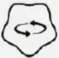 Chipolino Hippo - FUNZIONI - 5