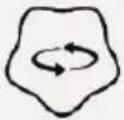 Chipolino Hippo - FUNKSIONET - 5
