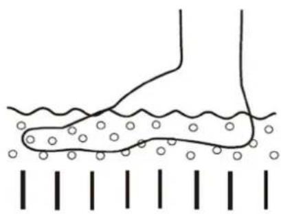 Physa PHY_PC_01 - Priprema za upotrebu - 1