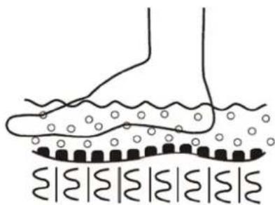 Physa PHY_PC_01 - 3