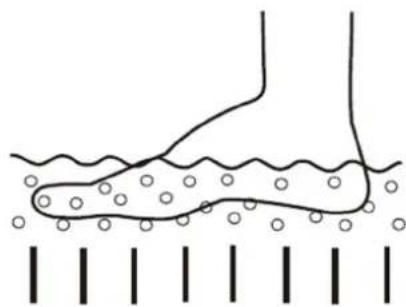 Physa PHY_PC_01 - 2