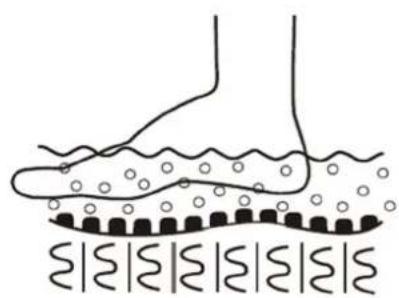 Physa PHY_PC_01 - Priprema za upotrebu - 12