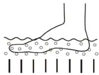 Physa PHY_PC_01 - Priprema za upotrebu - 5