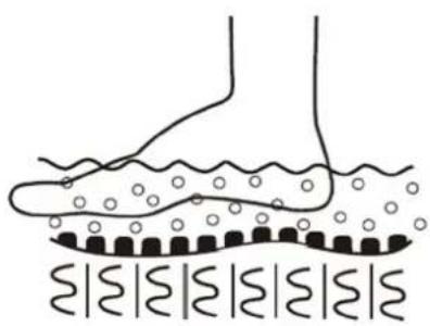 Physa PHY_PC_01 - Hierontatoiminnot - 3