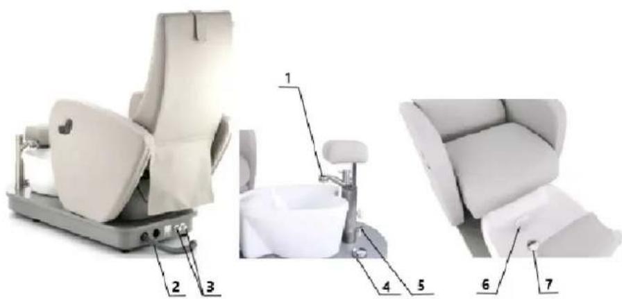 Physa Havana - Popis - 1