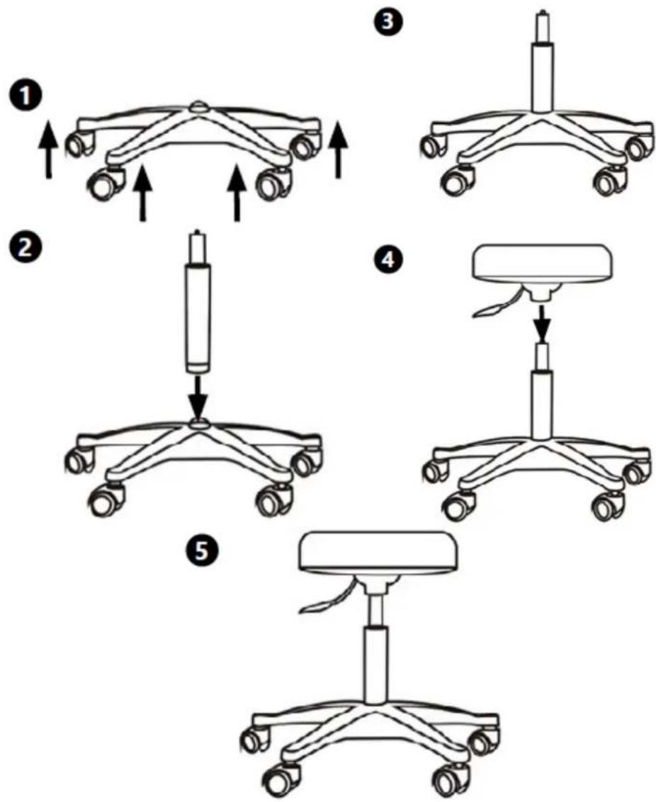 Physa GELA - Assembly - 1