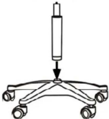 Physa GELA - Generel beskrivelse - 6