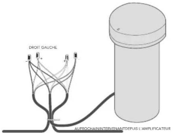 DEFINITIVE TECHNOLOGY Dymension Outdoor LS-6.1 - Installation du subwoofer - 1