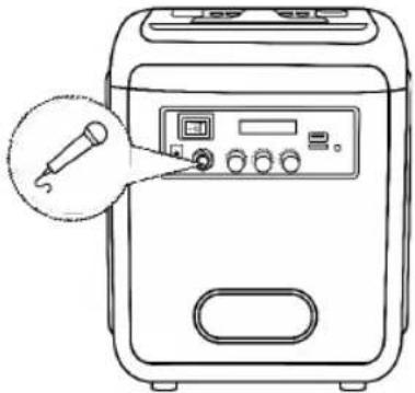 Sogo SS-8780 - Collegamento microfono - 1