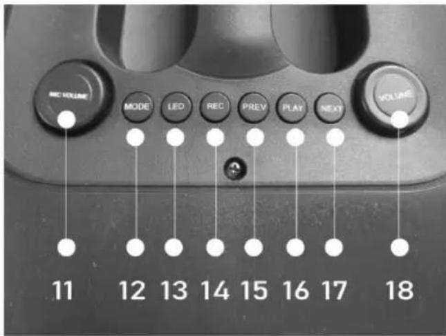 Sogo SS-8780 - Back Panel - 1