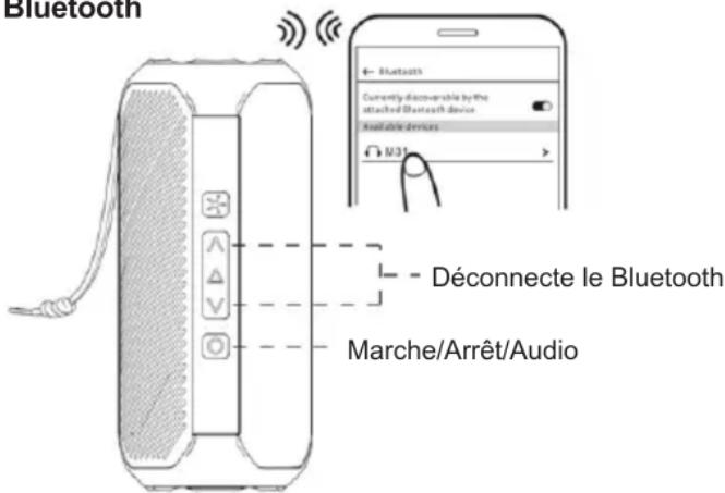Bluetooth Déconnecte le Bluetooth Marche/Arrêt/Audio