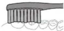 PHILIPS Sonicare 6800 Series HX3792 - Tish tozalash ko'rsatmalari - 3