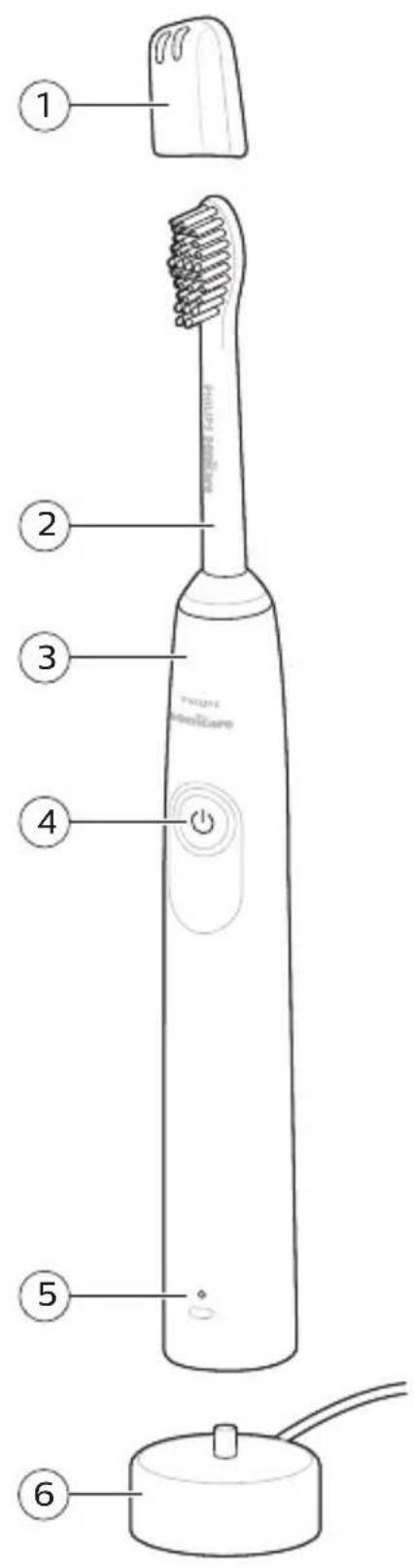 PHILIPS Sonicare 1300 Series HX3642 - 2