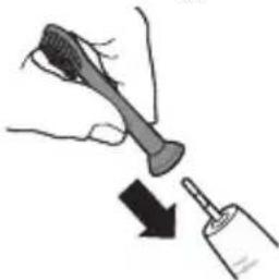 PHILIPS Sonicare 1300 Series HX3642 - Attaching the brush head - 1