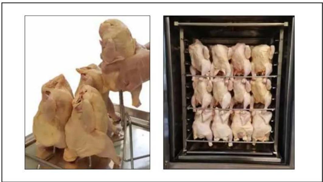 Blodgett BCT-61-61G - CUISSON À L'AIDE DU SYSTÈME - 1