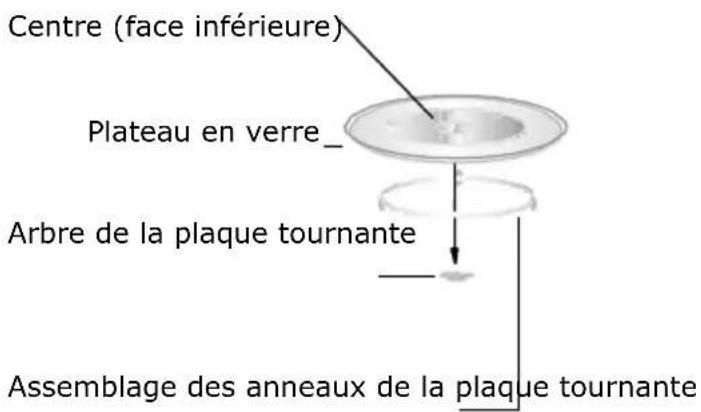 Centre (face inférieure) Plateau en verre_ Arbre de la plaque tournante Assemblage des anneaux de la plaque tournante