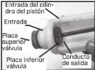 Chapin 63950 - CÓMO DESARMAR Y REPARAR LA BOMBA DE PISTÓN - 4