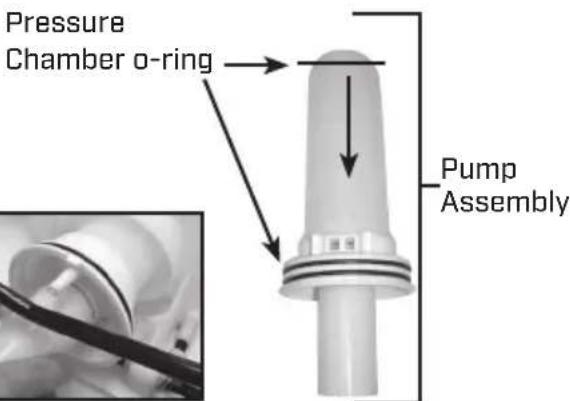 Chapin 63950 - DISASSEMBLING AND REPAIRING THE PUMP ASSEMBLY - 4