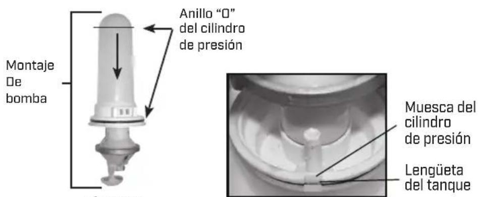 Chapin 64800 - DESARMADO Y REEMPLAZO DEL MONTAJE DE LA BOMBA DE DIAFRAGMA - 3