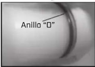 Chapin 64800 - DESARMADO Y REEMPLAZO DE LA BOMBA DE DIAFRAGMA - 2