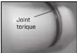 Chapin 64800 - DÉMONTER ET REMPLACER LA POMPE À MEMBRANE - 5