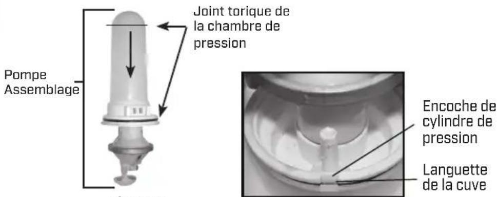 Chapin 64800 - DÉMONTER ET REMPLACER L'ASSEMBLAGE DE POMPE À MEMBRANE - 3