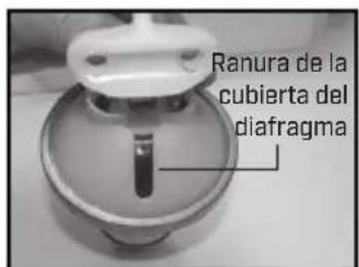 Chapin 64800 - PULVERIZADOR DE MOCHILA PROSERIES - 6