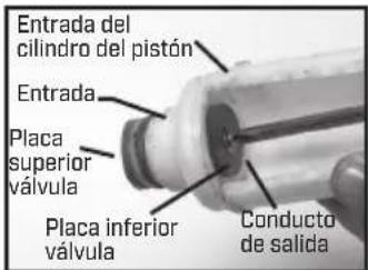 Chapin 60100 - CÓMO DESARMAR Y REPARAR LA BOMBA DE PISTÓN - 5