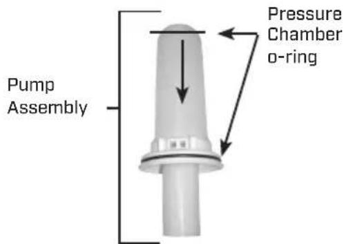 Chapin 61800 - DISASSEMBLING AND REPAIRING THE PUMP ASSEMBLY - 6