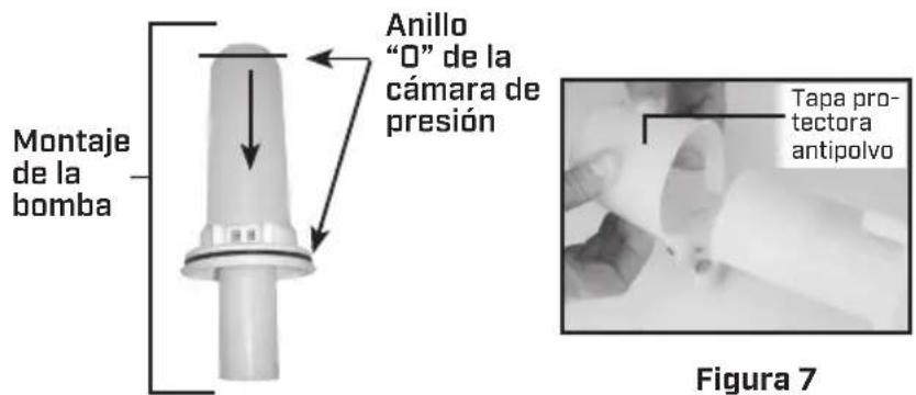 Chapin 61800 - CÓMO DESARMAR Y REPARAR EL CONJUNTO DE LA BOMBA - 3