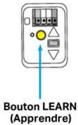 Bouton LEARN (Apprendre)