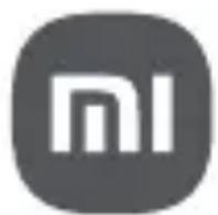 Xiaomi Handheld Garment Steamer - 1