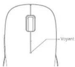 Voyant
