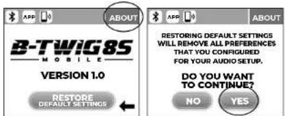 ANT B-Twig 8 Mobile - | SCHERMATA MENU CONFIG (Fig.5) - 2