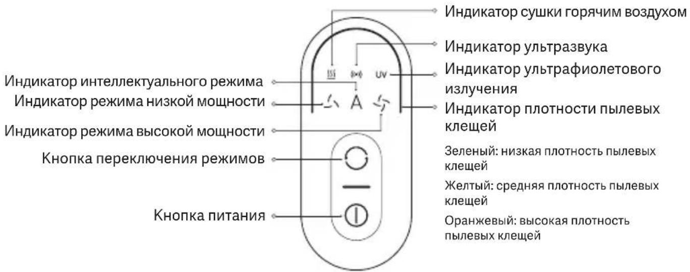 Xiaomi Dust Mite Pro - Дисплей - 1