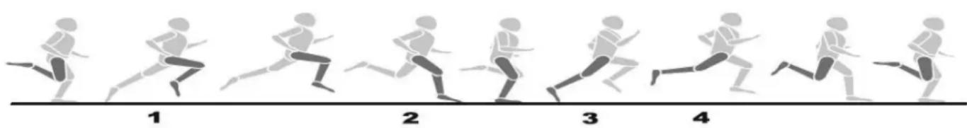 KETTLER Sprinter 1.1 - Training Form and Movement Execution - 1