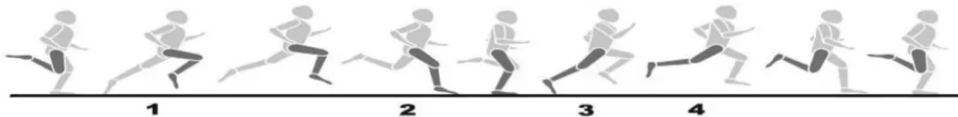 KETTLER Sprinter 1.1 - Trainingsform und Bewegungsausführung - 1