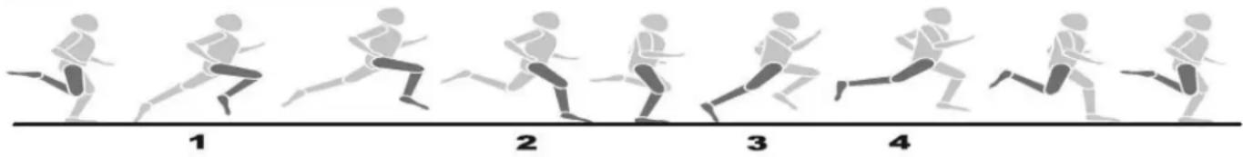 KETTLER Sprinter 1.1 - Type d'exercice et exécution du mouvement - 1