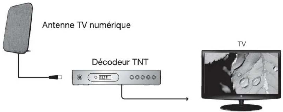 Essentiel B Ant-400 - Pour les zones présentant une bonne réception des signaux (sans amplificateur): - 1