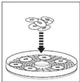 Essentiel B ED2 - assembly and dehydration instructions - 1